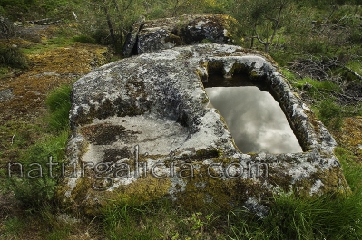 Sartego antropomorfo excavado en pedra